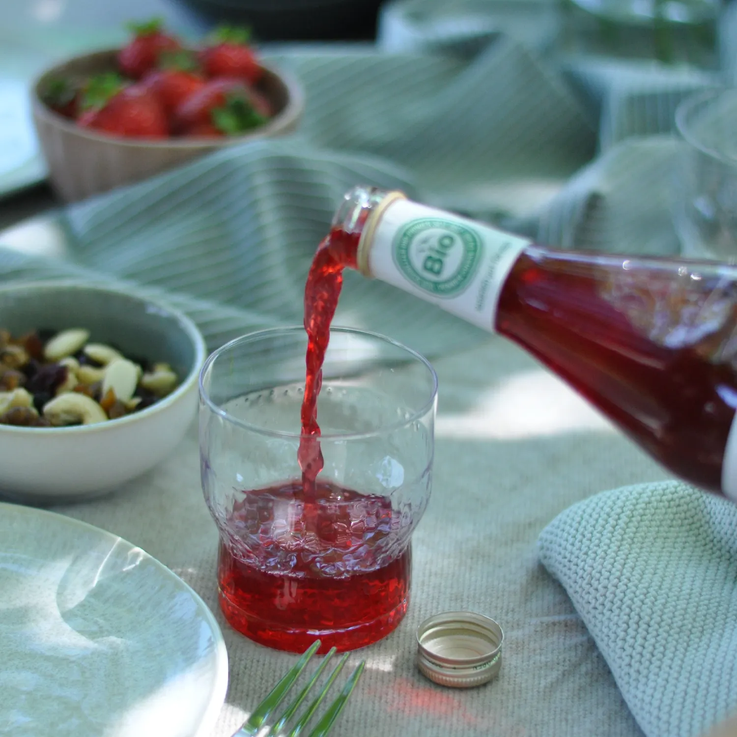 Biotta Lingonberry Plus puolukkanektari