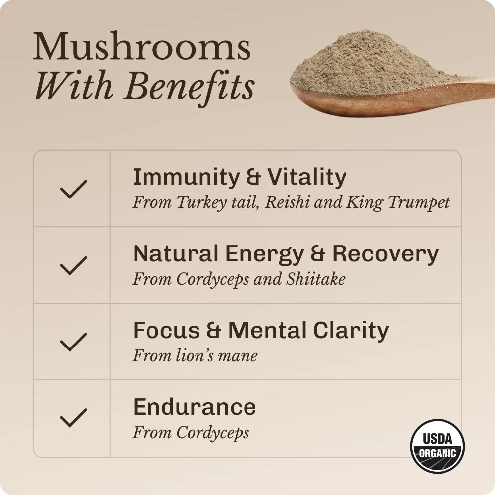 MUD\WTR Mushroom Boost sienisekoite vastustuskykyyn