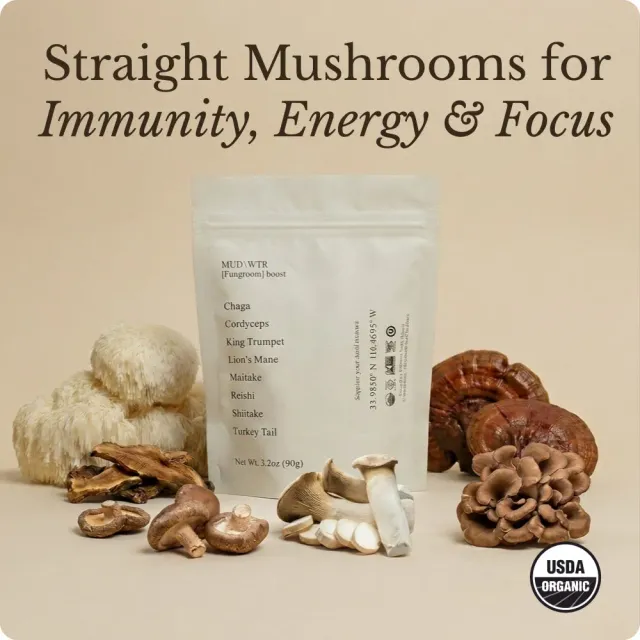 MUD\WTR Mushroom Boost sienisekoite vastustuskykyyn