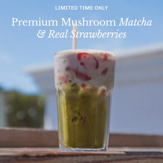 MUD\WTR Strawberry Matcha matchajuoma mansikka