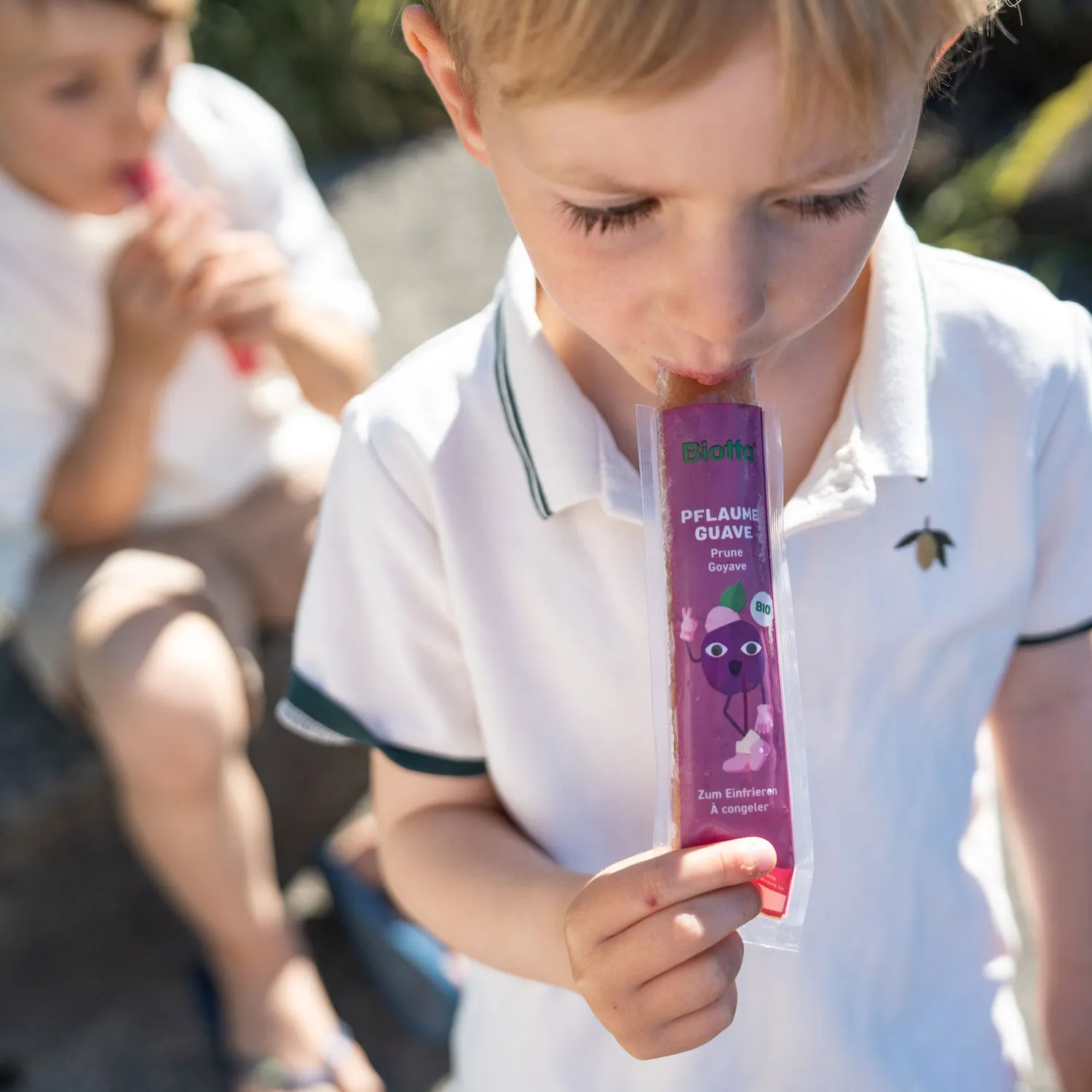 Biotta Fruity Ice Sticks mehujää luomu