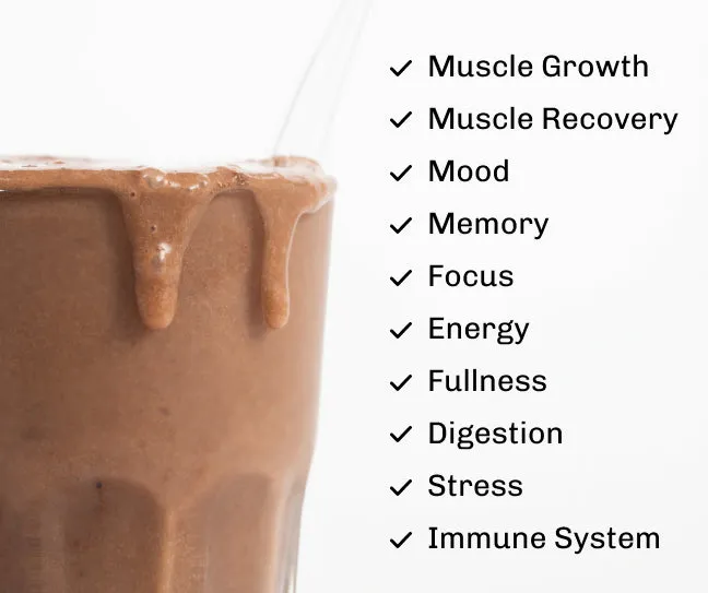MUD\WTR Nourish proteiinijauhe