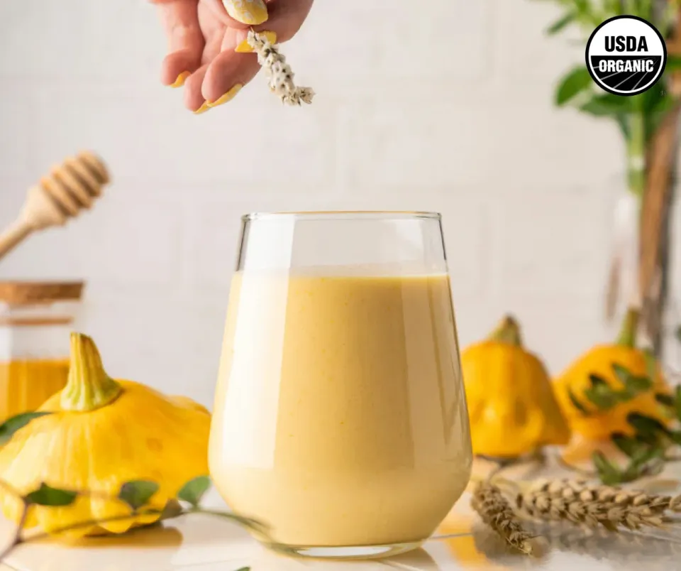 MUD\WTR Turmeric Latte Starter Kit kurkumajuoma 30 annosta, kofeiiniton