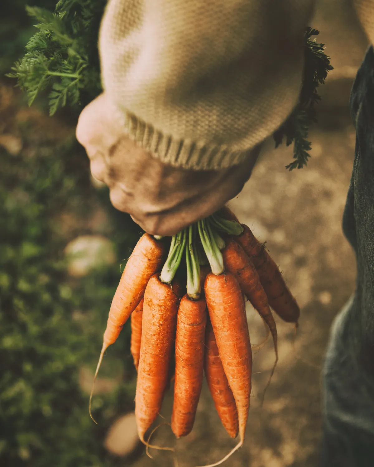 Biotta Carrot porkkanamehu